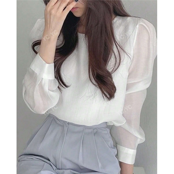 Casual Semi-Transparent Solid Color Ladies' Shirt